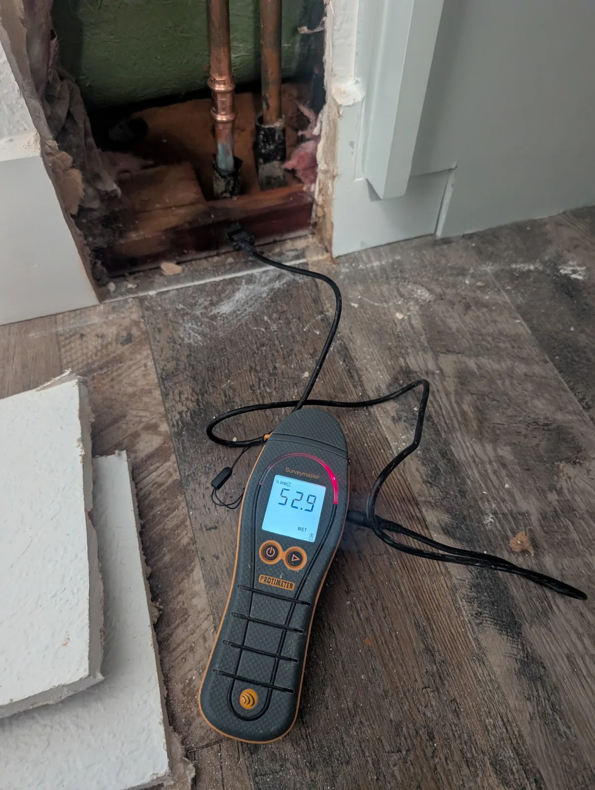 Protimeter moisture meter reading wet at an opened wall during mold remediation